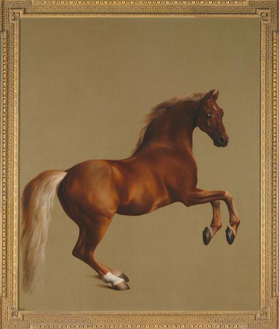 "Whistlejacket' by George Stubbs. AKG1559194 © National Gallery Global Limited / akg-images