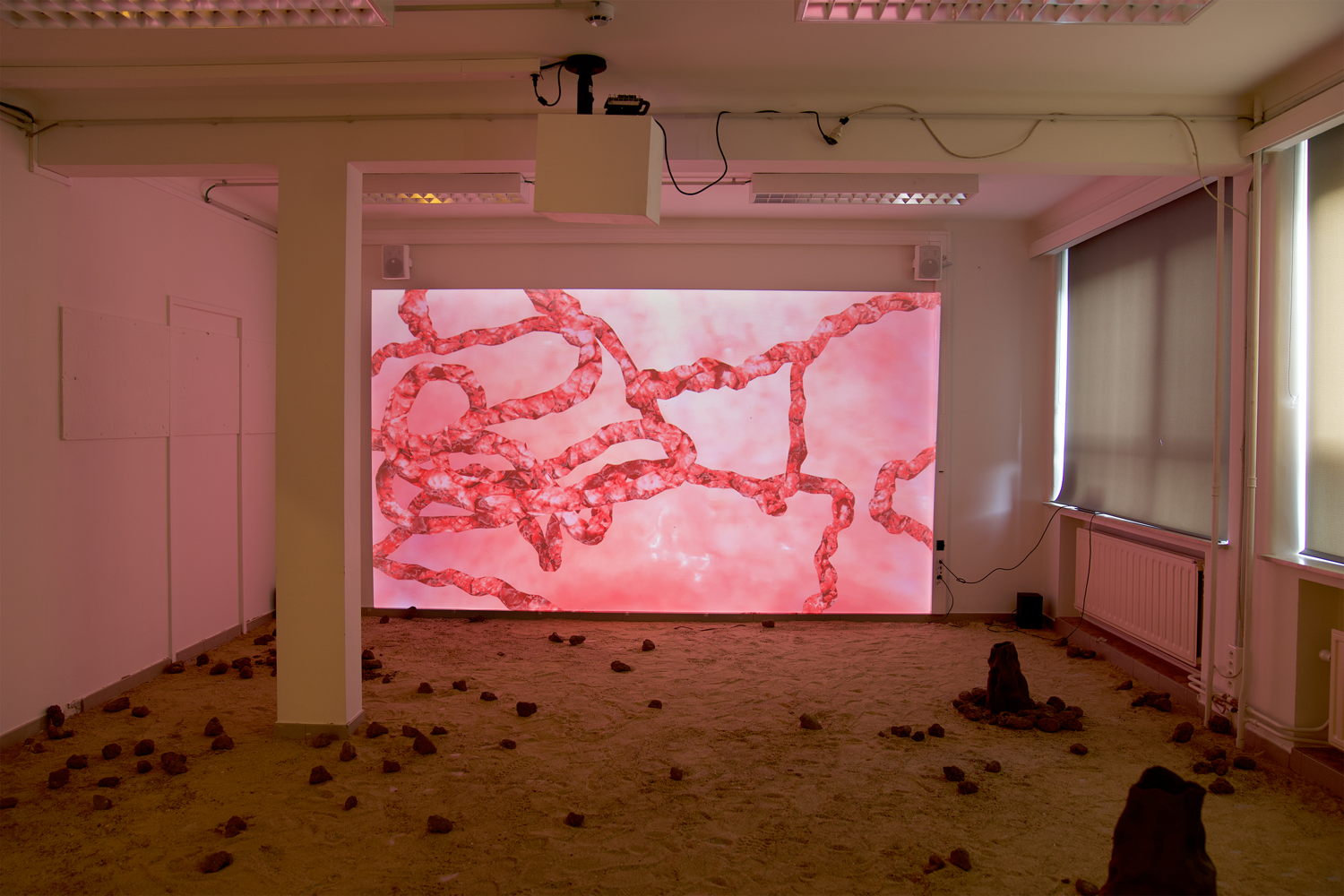 Joppe Venema- Retain, Restrain, Refrain, 2021, exhibition view