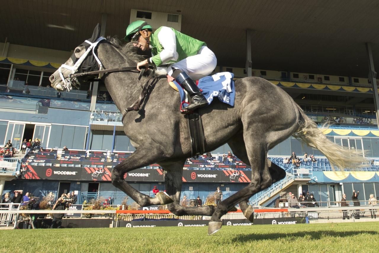 My Girl Sky winning the Thunder Bay. (Michael Burns photo)