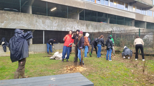 Vrijwilligers planten 485 bomen op VUB uit liefde voor de natuur