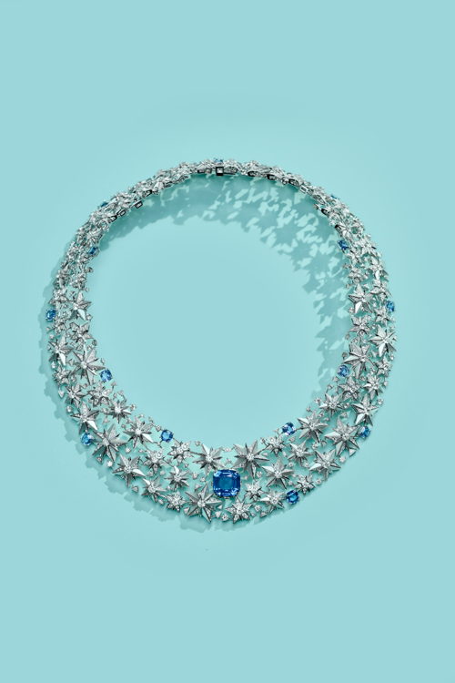 Tiffany & Co. - Iconic Star  (9)