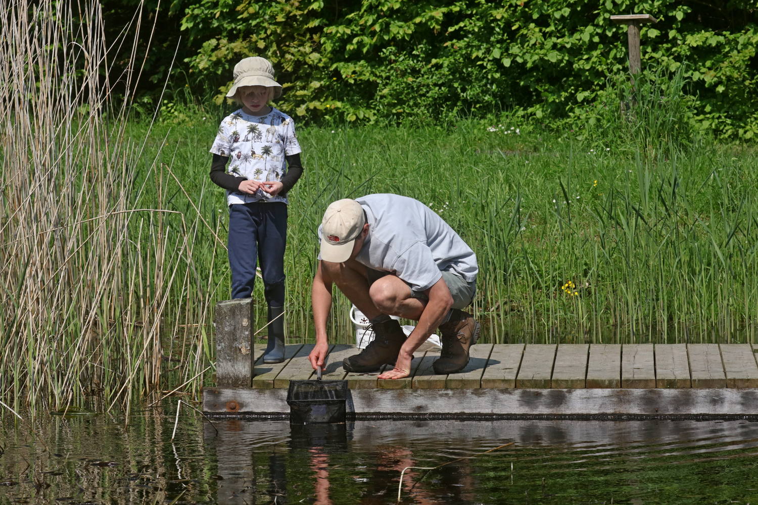Baasrode - Scheldewaterkwaliteit bepalen