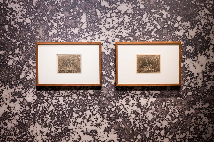 ENSOR_DRIESLUYTEN-5