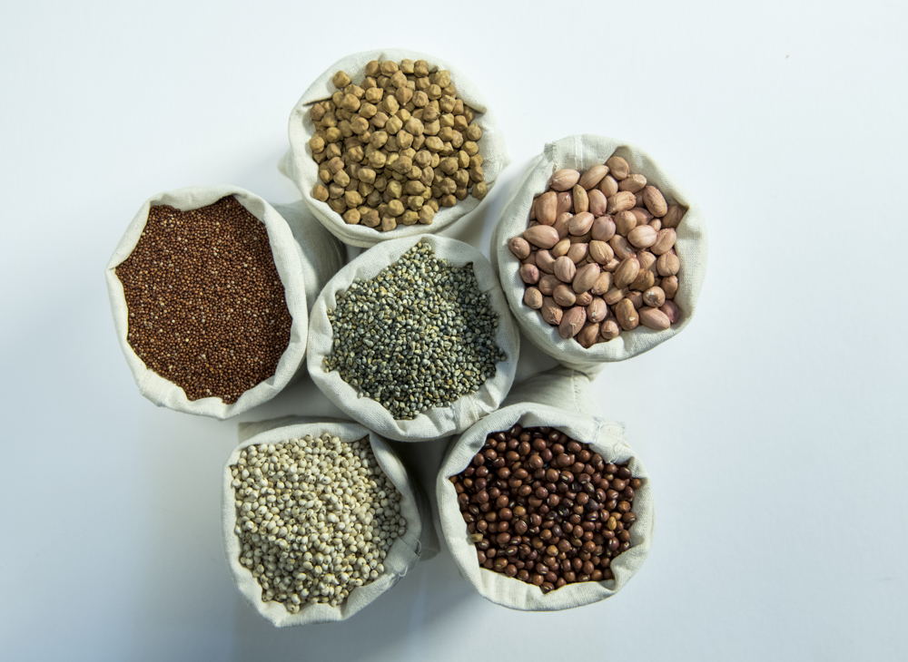ICRISAT mandate crops