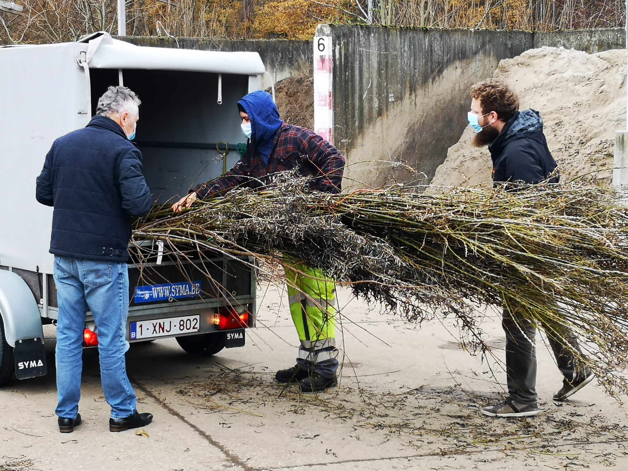 Meer dan 23 km nieuwe hagen en 4.167 hoogstambomen dankzij samenaankoop 'Behaag je tuin'