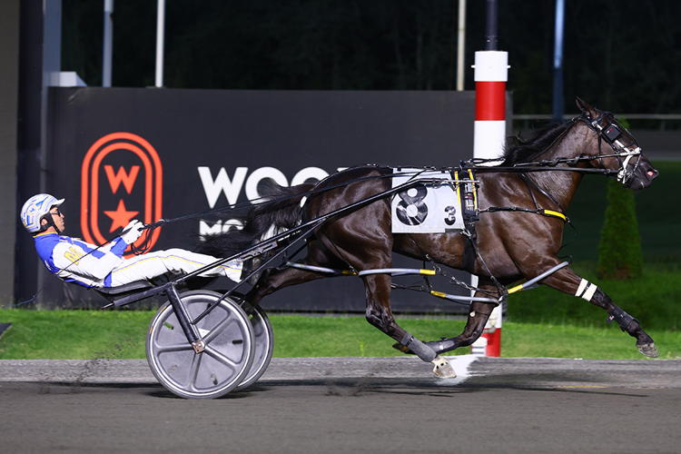 Chantilly. (New Image Media)
