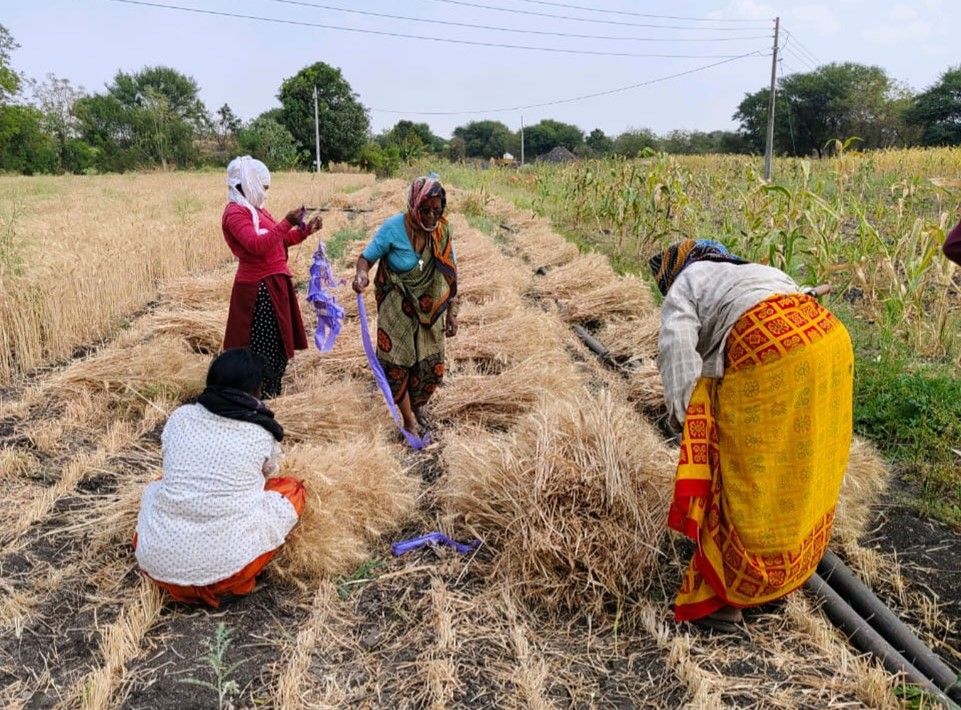 Abundant harvests: Farmers reaping the benefits of transformation.