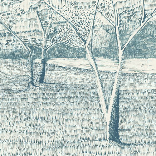 Lawn