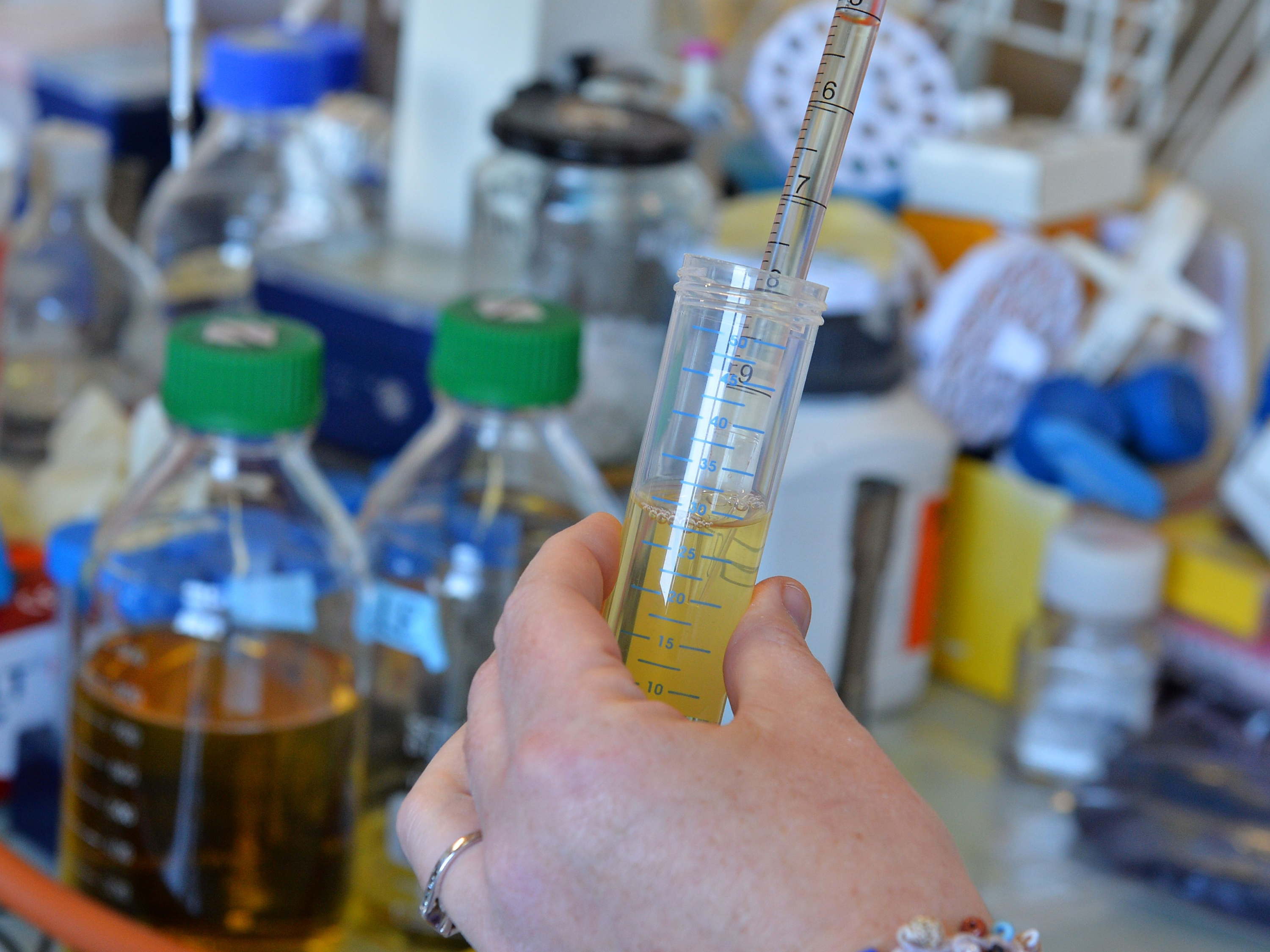 Scientists pool resources to create first joint pancreatic cancer research group