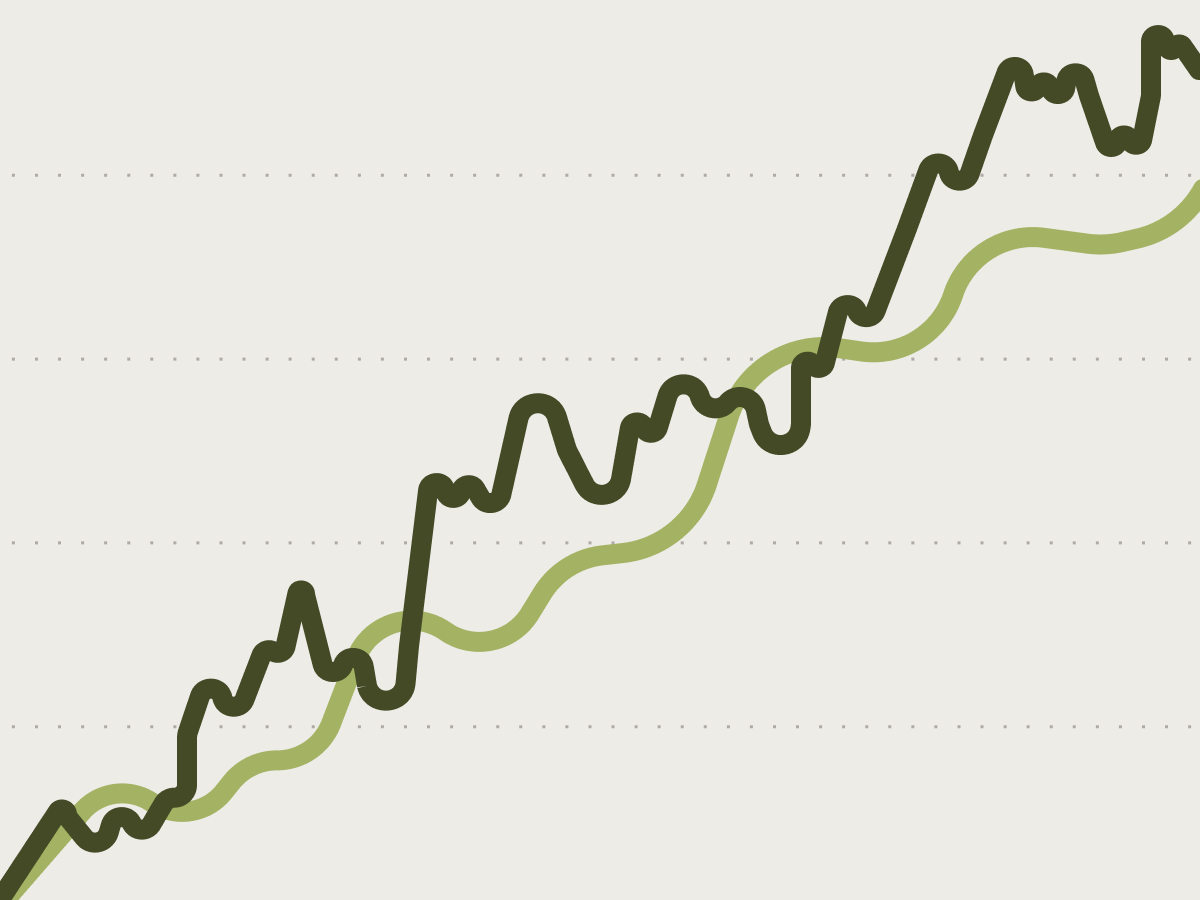 What Should I Do If My Portfolio Is Outperforming or Underperforming?