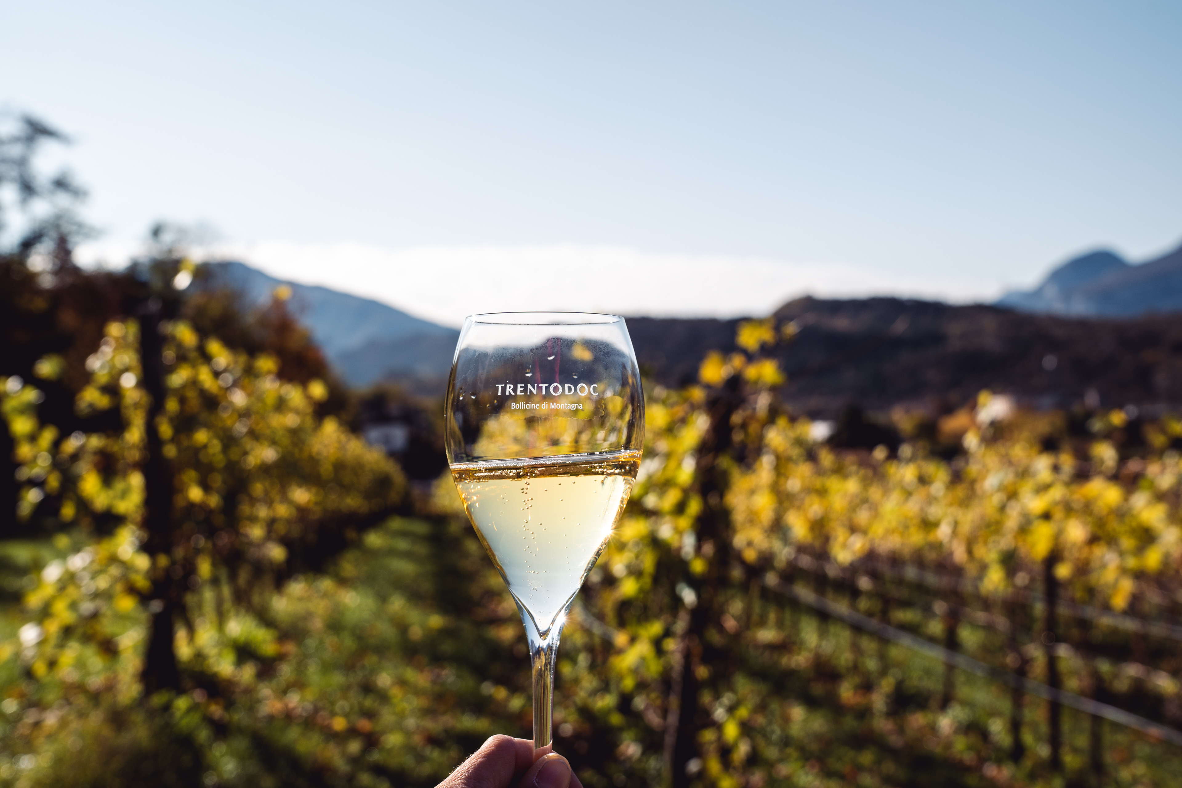Trentodoc: calici e territorio