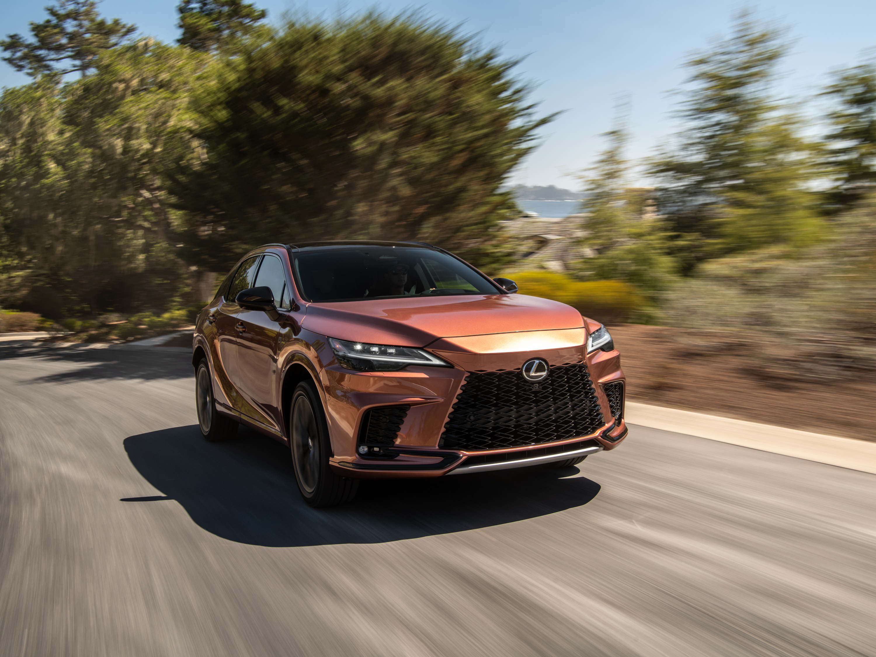 Lexus stelt de compleet nieuwe RX voor