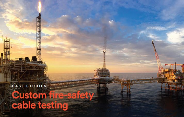 Case Study: Custom fire-safety cable testing