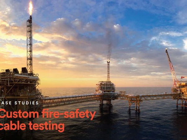 Case Study: Custom fire-safety cable testing