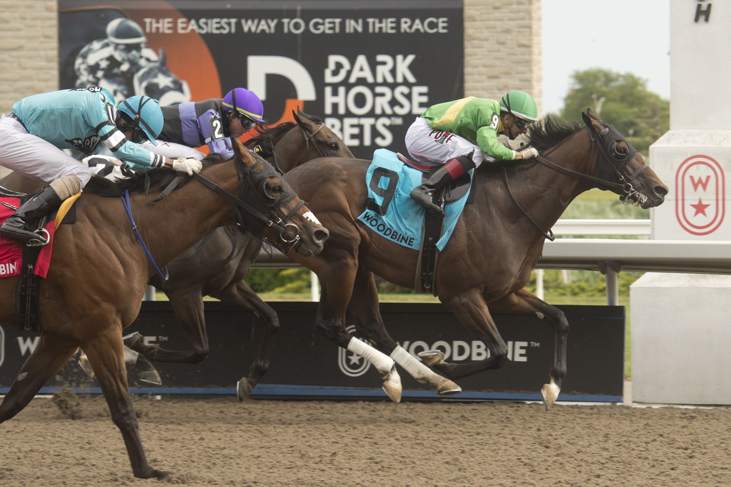 Rafael Hernandez and Mason's Gamble pull ahead to win the Ontario Jockey Club Stakes at Woodbine. (Michael Burns Photo) 