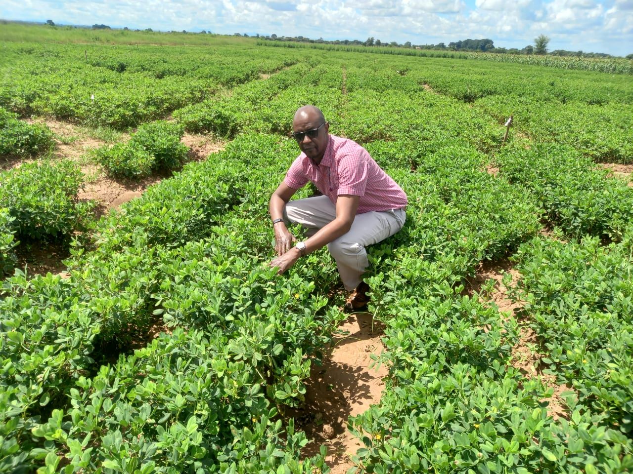 Dr Samuel Njoroge, Senior Scientist and Country Representative, ICRISAT-Malawi.