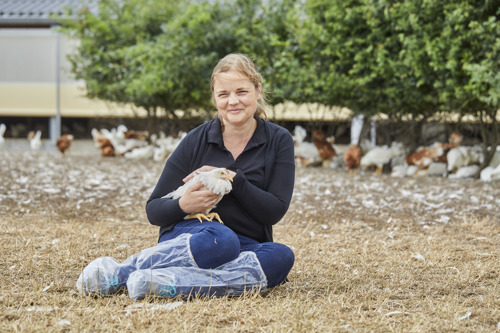 Bio-Planet now only sells eggs from production without chick culling