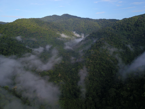 Preview: VELUX Groep kondigt twee nieuwe klimaat- en natuurbeschermingsprojecten aan in Vietnam en Madagaskar in samenwerking met het WWF