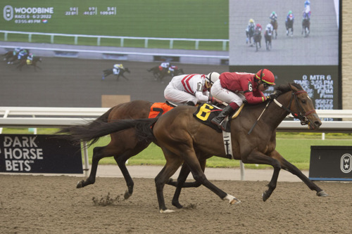 Heritage Series concludes Friday at Woodbine