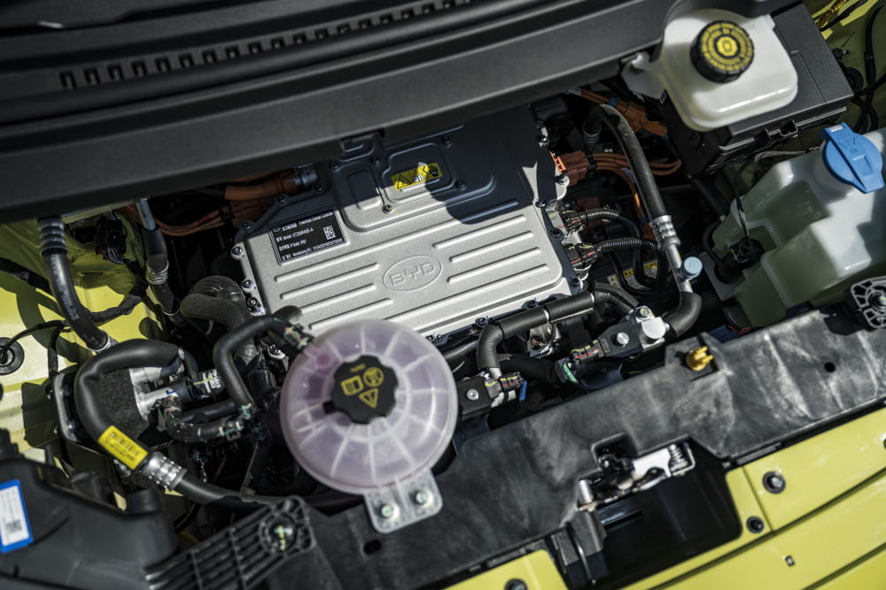 2025 BYD DOLPHIN SURF DETAIL 028