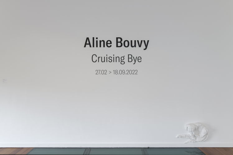 MACS_Vue de l'exposition Aline Bouvy_Cruising Bye_01_©photo Isabelle Arthuis