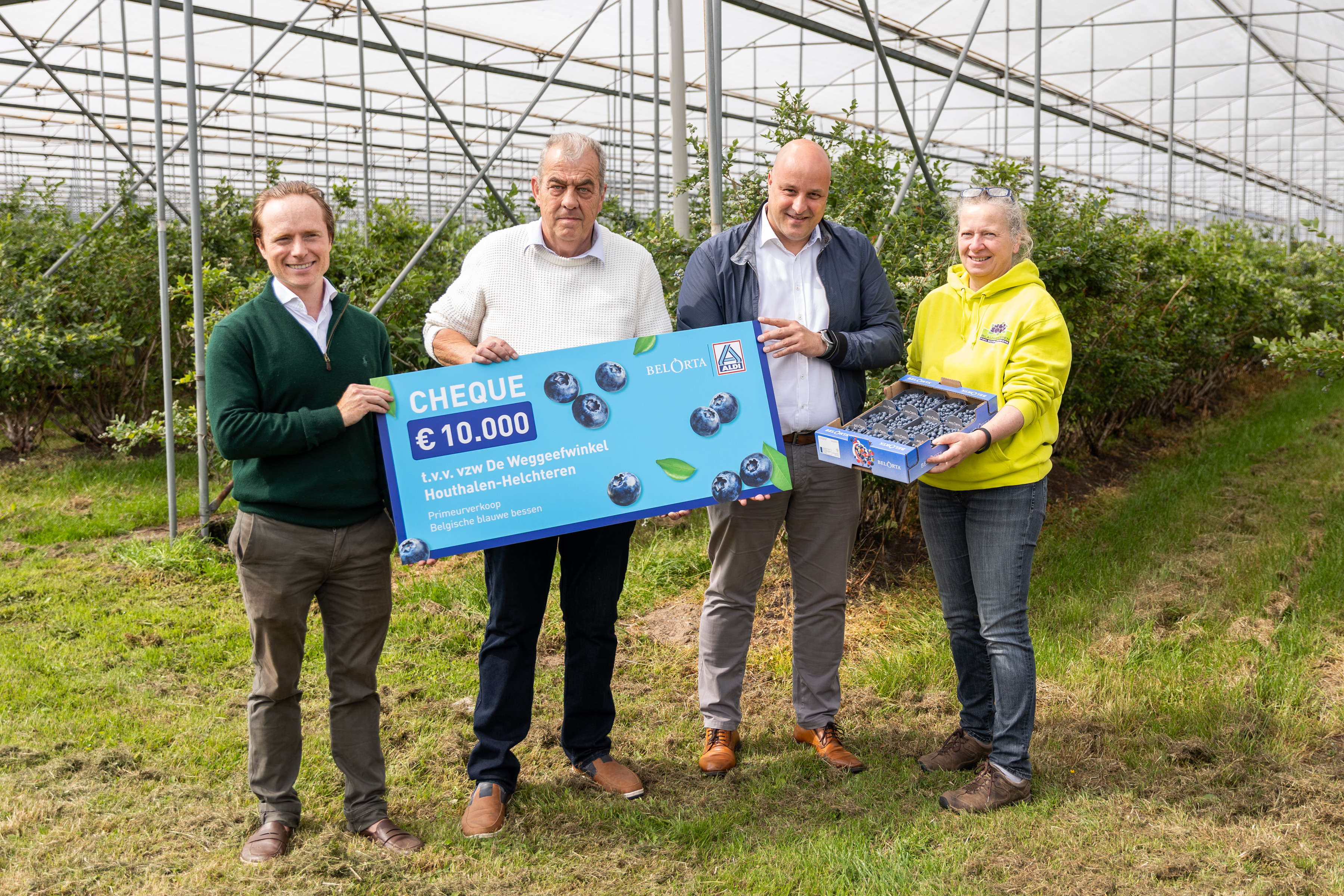 ALDI koopt eerste kist Belgische blauwe bessen