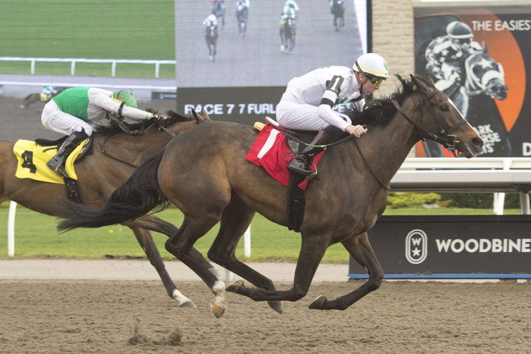 Millie Girl and jockey Declan Carroll winning Race 7 on May 12, 2023 at Woodbine (Michael Burns Photo)
