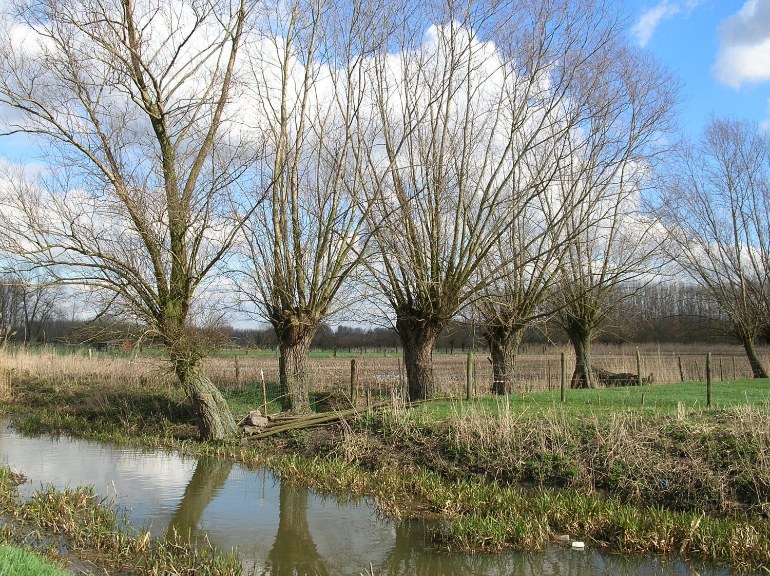 Meer ruimte voor water en groen