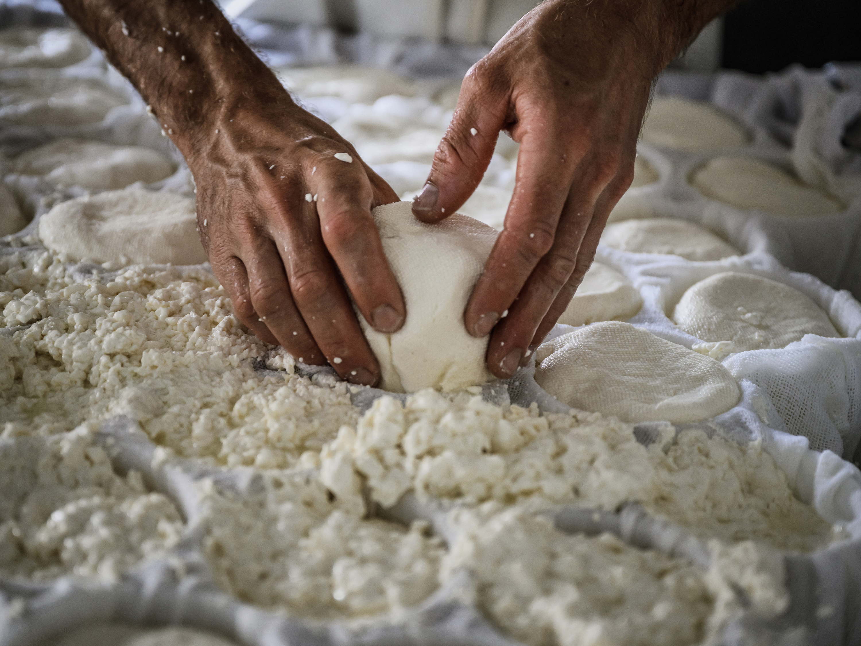 More than 450 companies temporarily closed over food safety violations