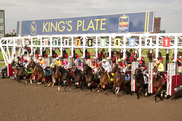 The field for the 165th King's Plate (Michael Burns Photo)