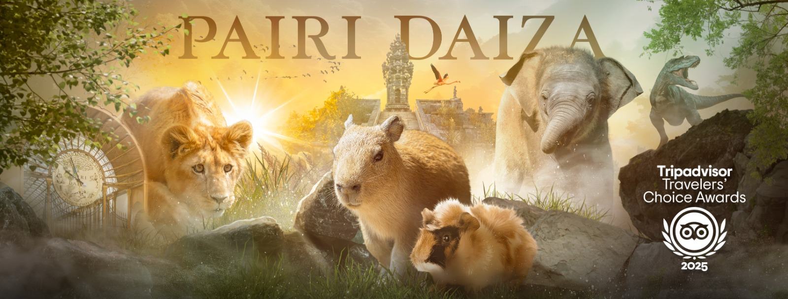 Pairi Daiza onderscheiden met de "Tripadvisor Travellers’ Choice Award 2025"