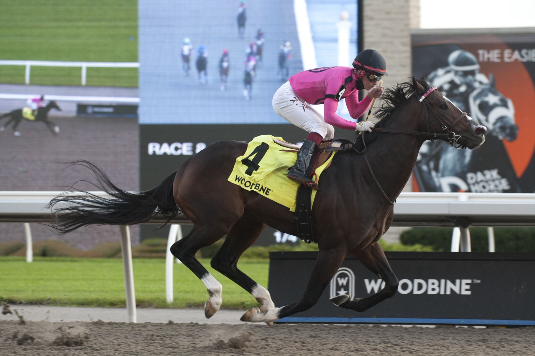 Frosted Over and Kazushi Kimura winning the Grade 3 Ontario Derby on October 31, 2021 at Woodbine. (Michael Burns photo)