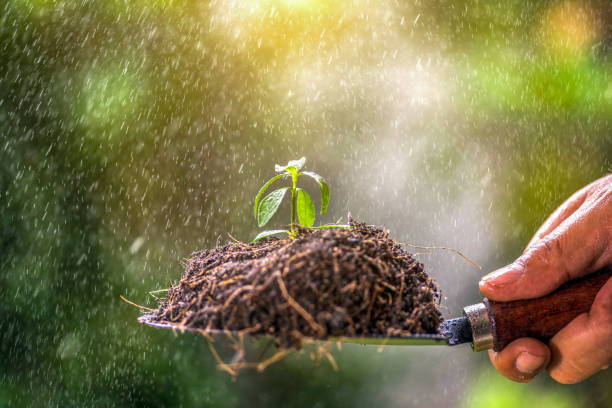 Seeds of Opportunity: The African Growth Series