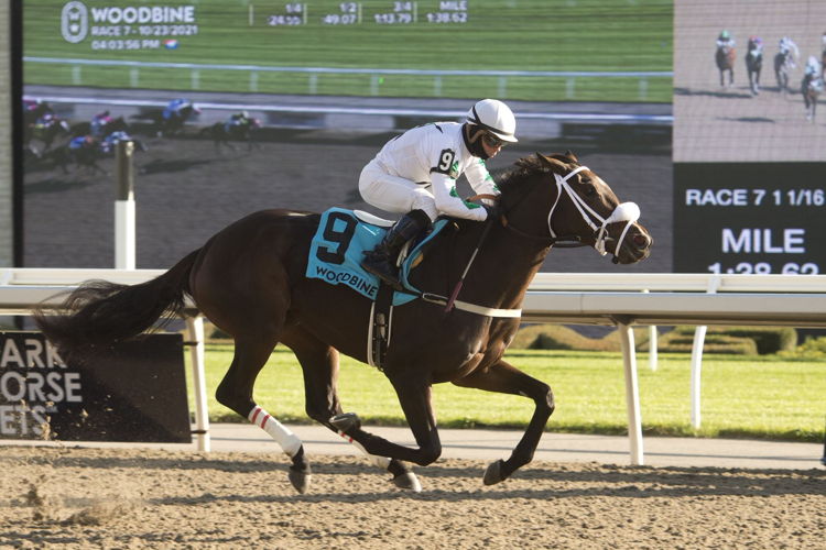 Moira winning the 2021 Princess Elizabeth. (Michael Burns photo)