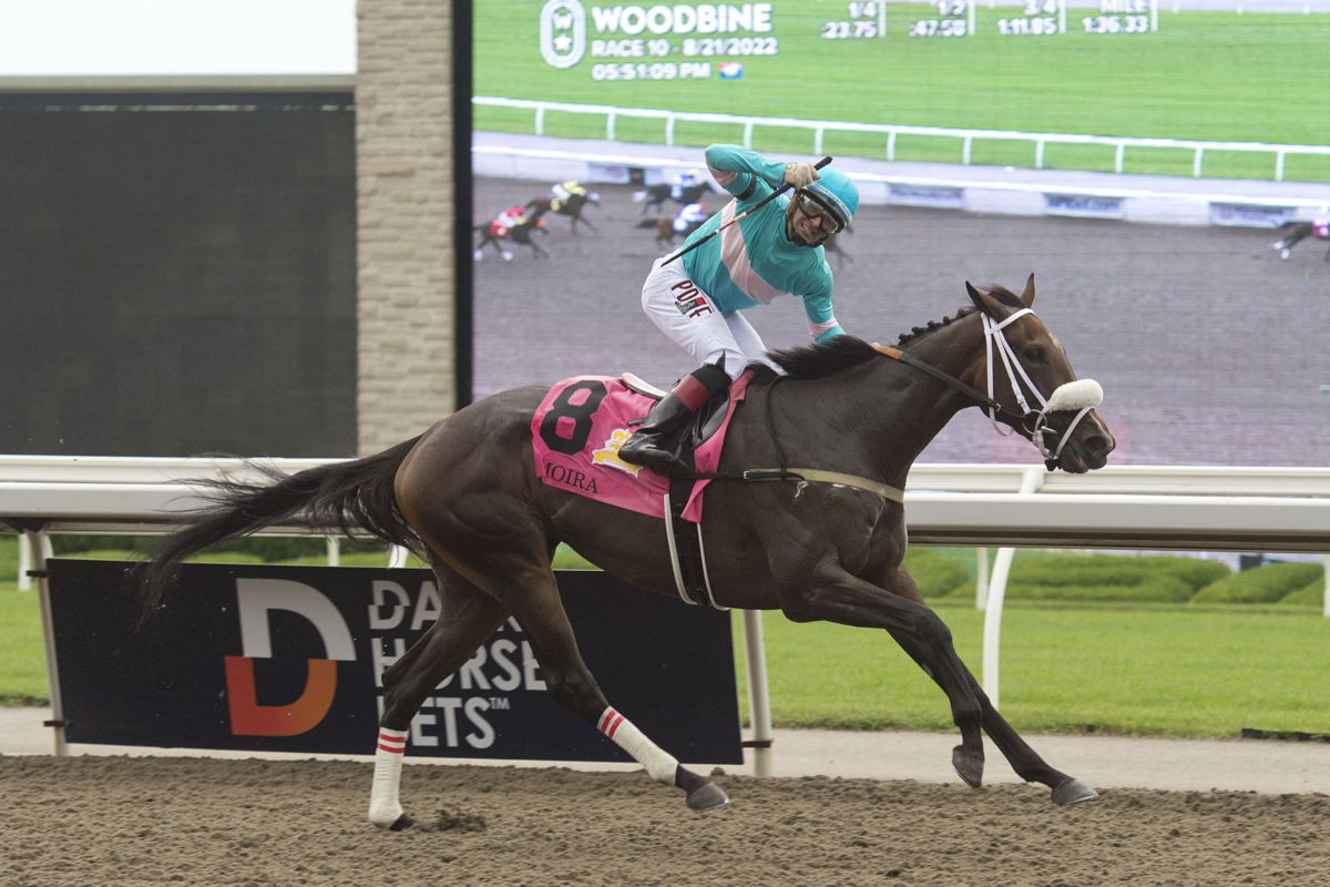 Kevin Attard Trainee, Moira, and jockey Rafael Hernandez winning the 163rd Queen's Plate on August 21, 2022, at Woodbine (Michael Burns Photo)