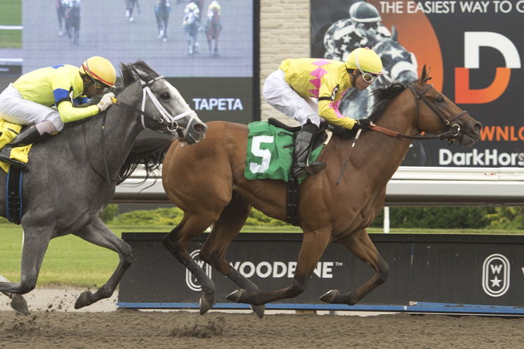 Turf King and jockey Kazushi Kimura winning the Marine Stakes on July 1, 2023 at Woodbine (Michael Burns Photo)
