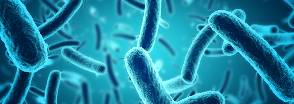 mRNA vaccines against bacteria: Listeria shows the way