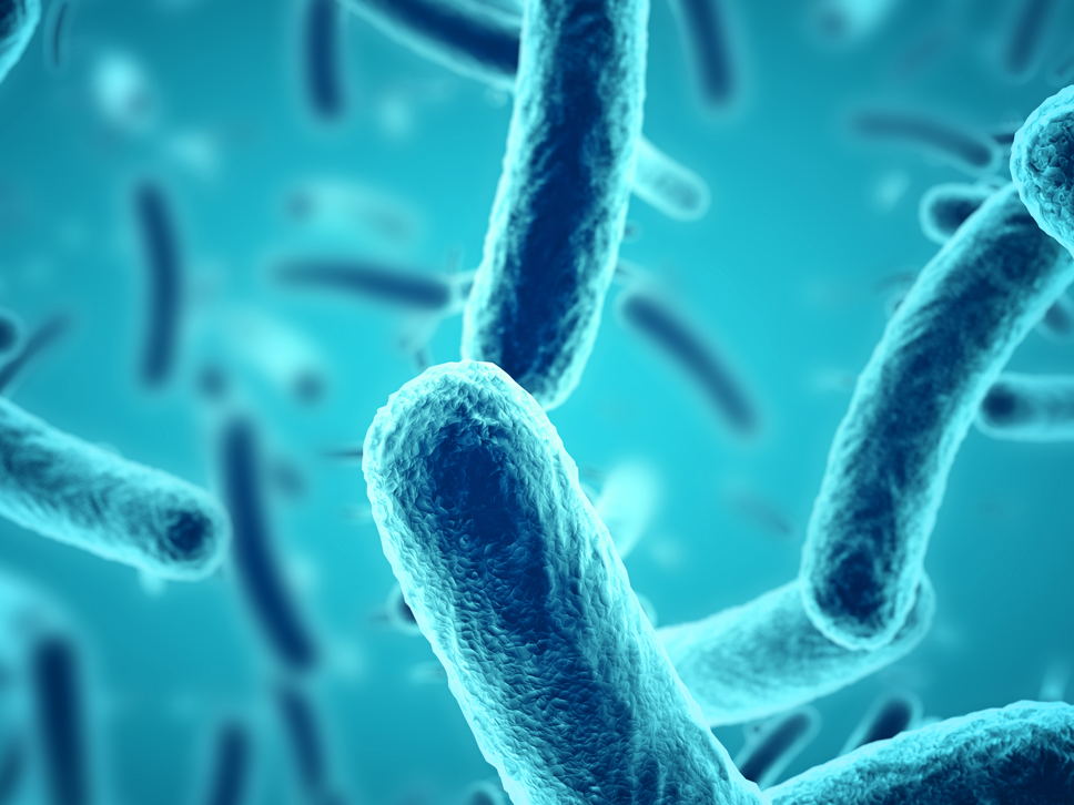 mRNA vaccines against bacteria: Listeria shows the way