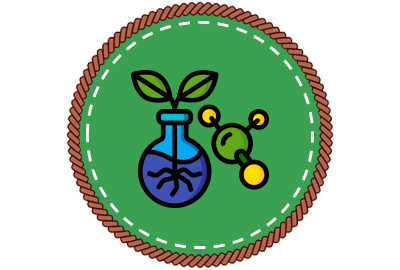 An example of a badge: Nepris Virtual Summer Camp - STEM Middle School