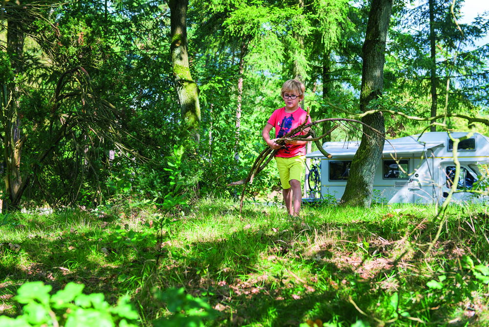 Holz sammeln f&uuml;rs Lagerfeuer