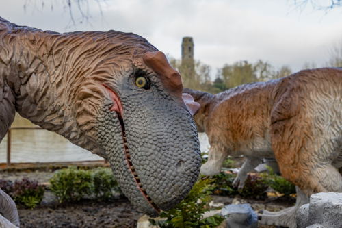 Nanuqsaurus