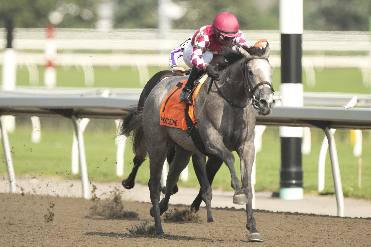 Bullet and jockey Patrick Husbands winning the My Dear Stakes on July 13, 2024 at Woodbine (Michael Burns Photo)