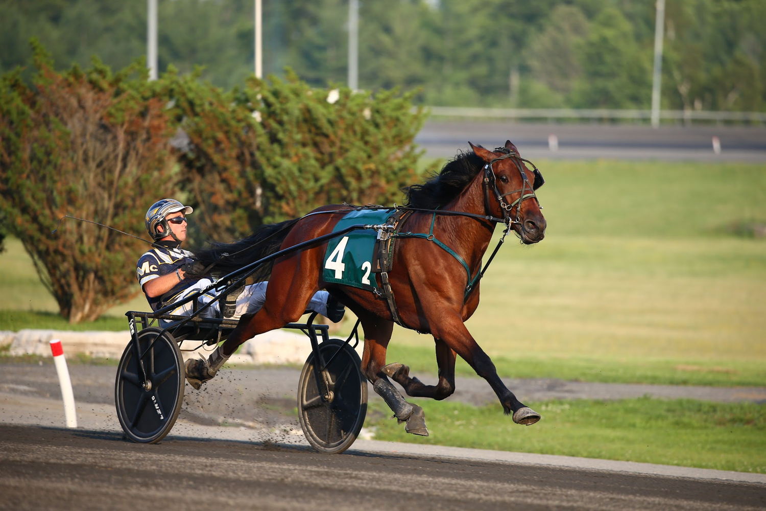 Adare Castle winning her OSS debut last July at Woodbine Mohawk Park. (New Image Media)