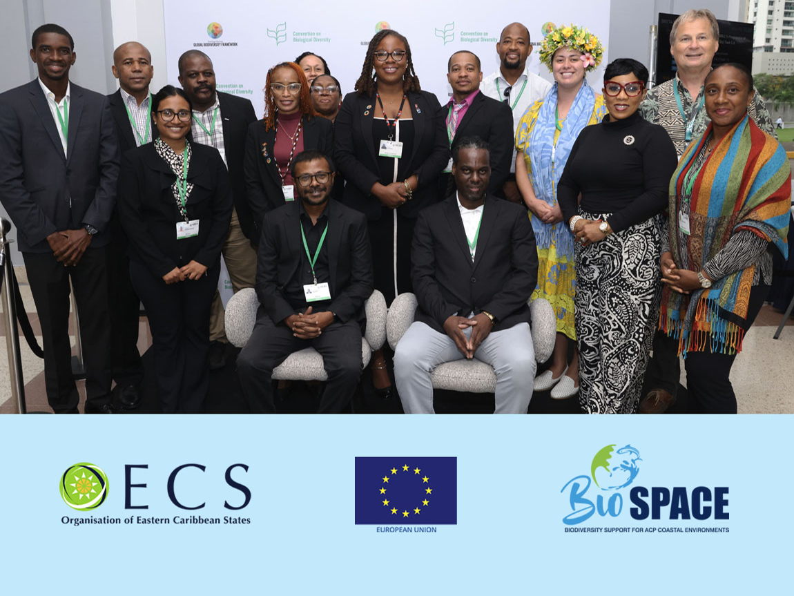 L’OECO fait progresser les objectifs régionaux en matière de biodiversité lors des réunions mondiales de la CDB des Nations Unies au Panama