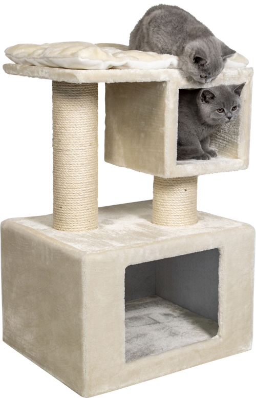 arbre à chat Sebastian