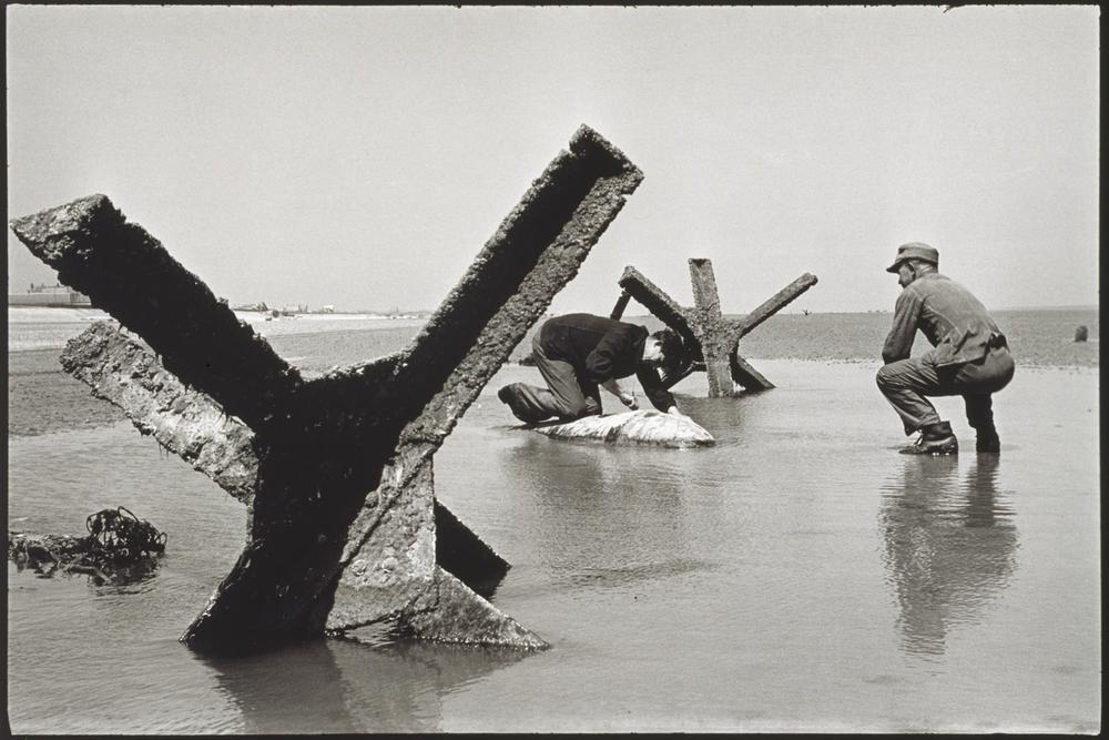German prisoners of war defuse a bomb on Omaha Beach in Normandy (after the Allied landing on 6 June 1944) AKG182873 © akg-images / Tony Vaccaro German prisoners of war defuse a bomb on Omaha Beach in Normandy (after the Allied landing on 6 June 1944) AKG182873 © akg-images / Tony Vaccaro