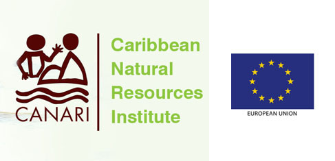 OECS invites comments on its Stakeholder Engagement Strategy
