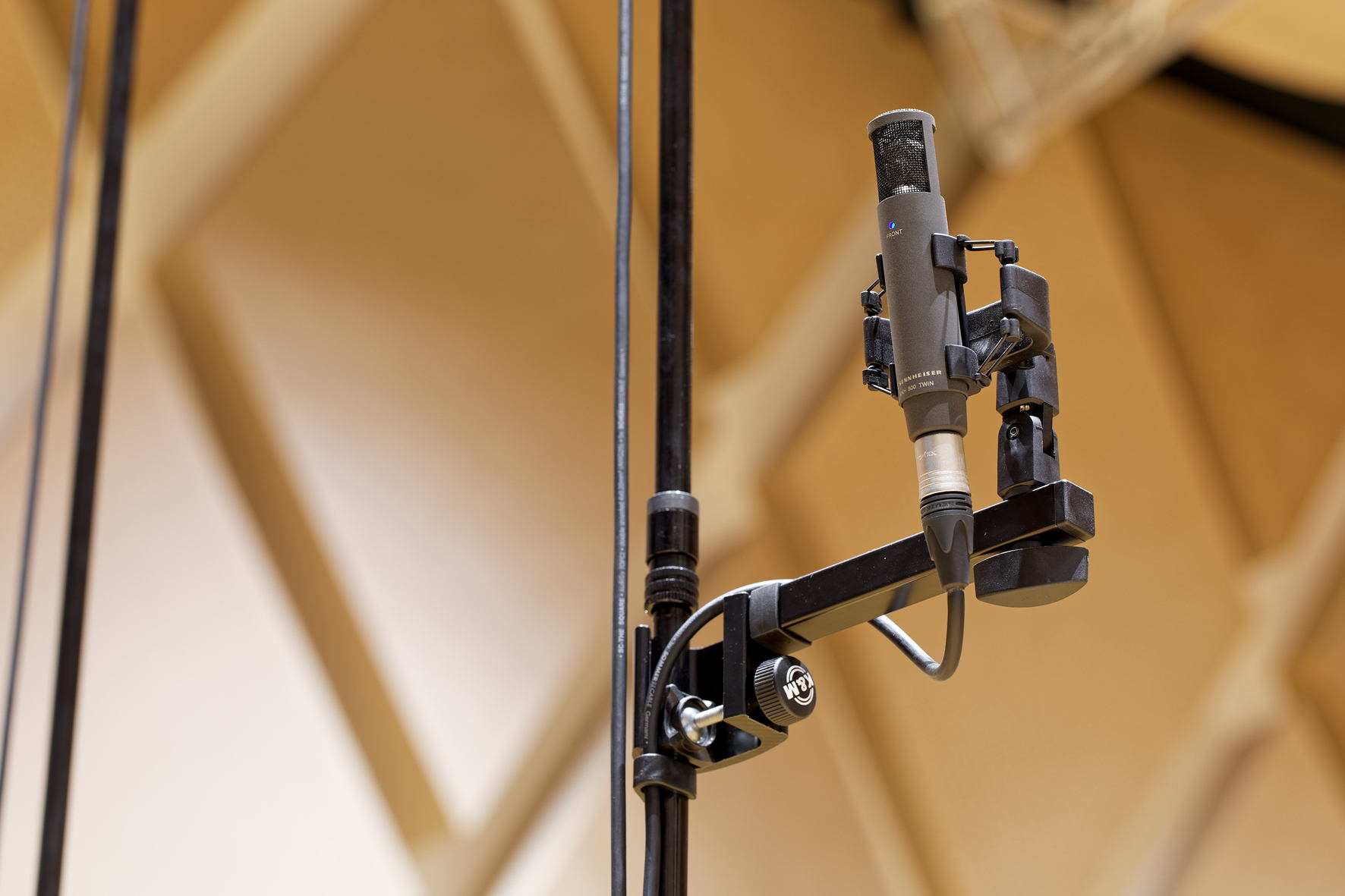 Das Sennheiser MKH 800 TWIN ist mit einer Doppelkapsel ausgestattet und stellt zwei separate Ausgangssignale bereit