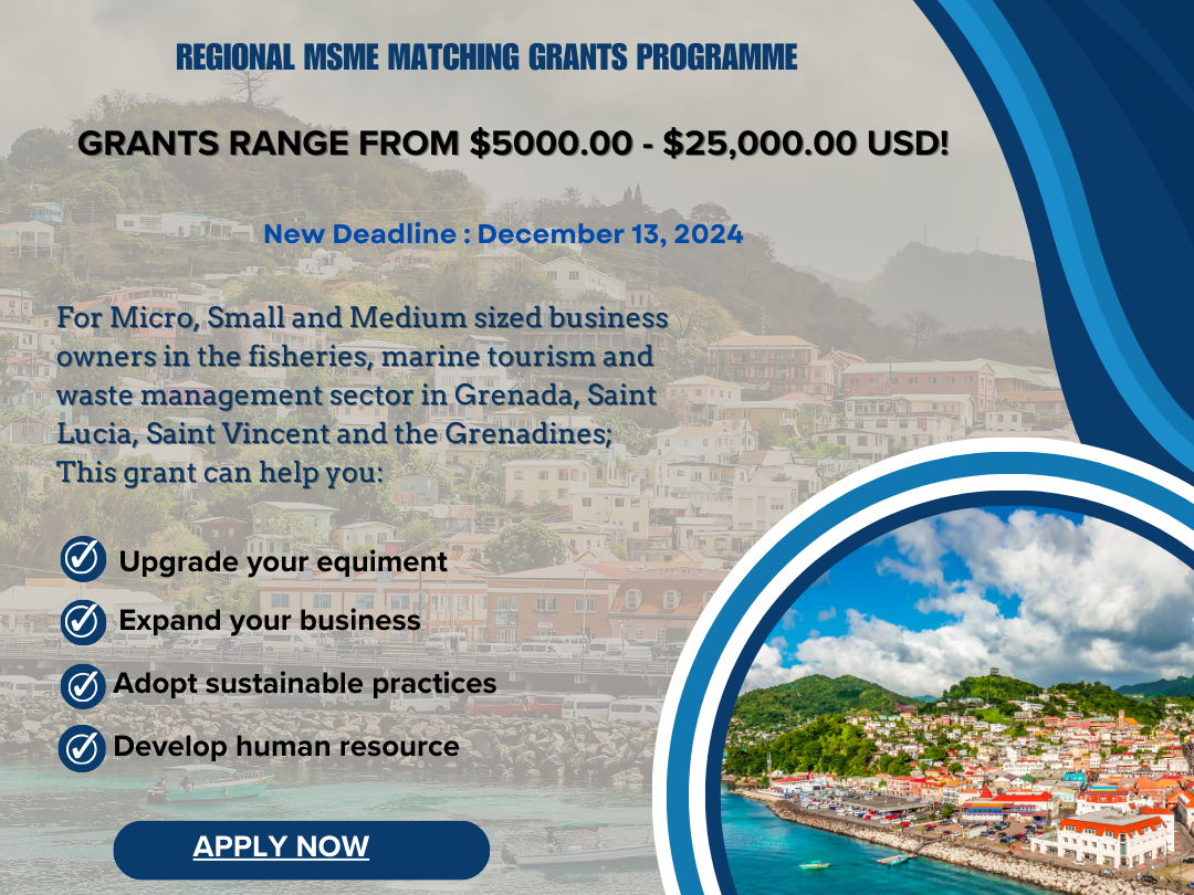Deadline Extended for the Regional MSME Matching Grants Programme – New Date: December 13, 2024! 