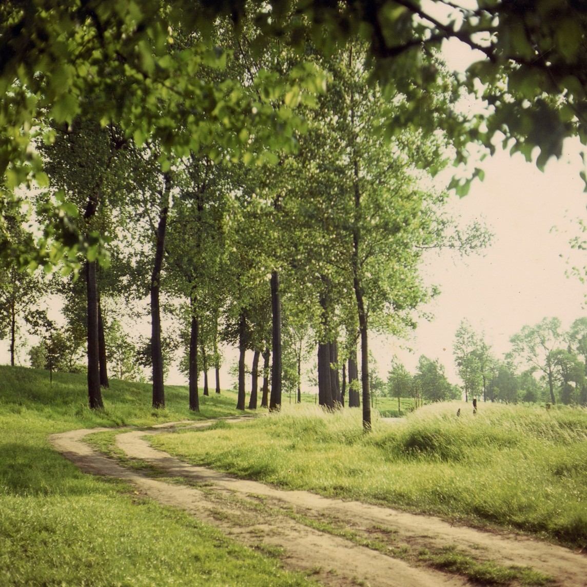 Verrassende wandelingen tijdens 375 jaar Ekersedijk